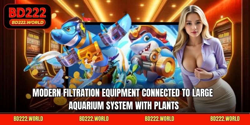 Modern filtration equipment connected to large aquarium system with plants