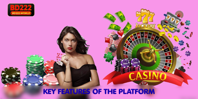 Key Features of the Platform