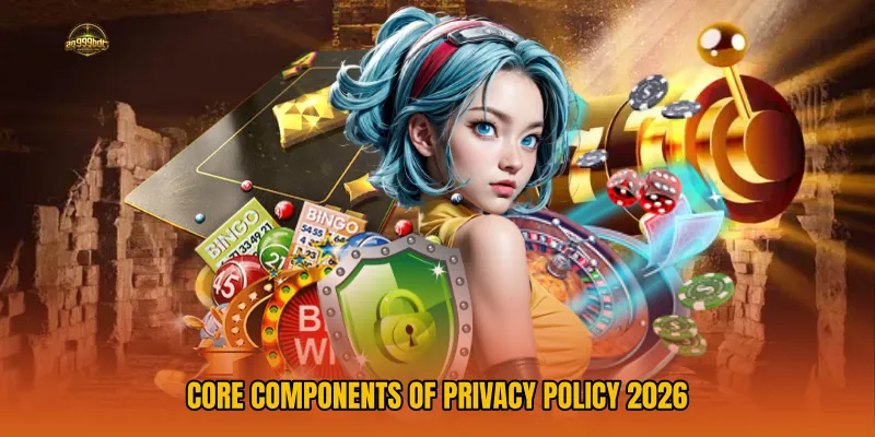 Core Components of Privacy Policy 2026