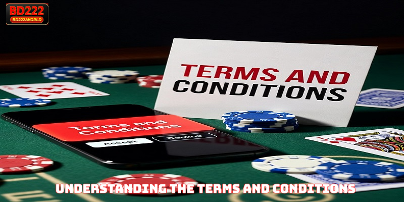 Understanding the Terms and Conditions
